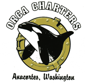 Logo Design Orca Yacht Charters