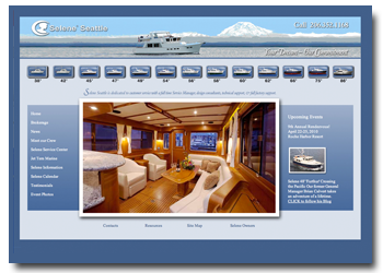 selene seattle web site design and development in Seattle washington